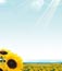2012��������_ˇ�g���Ļ��n_2012�����L���֔���_�߿��W