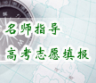 ����ָ��־Ը���
