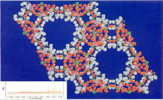 2014��߿���W(xu��)���W(xu��)���T(m��n)����I(y��)��W(xu��)���������ϿƌW(xu��)�c����